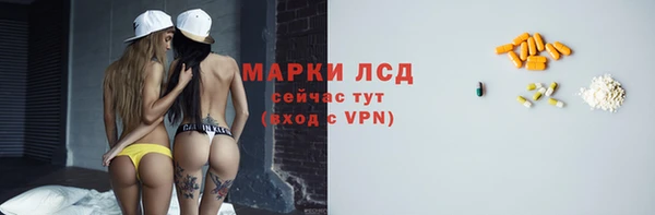 прущие грибы Пролетарск