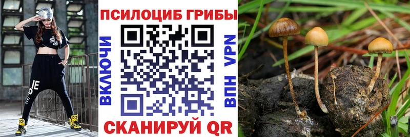Галлюциногенные грибы мухоморы  Северо-Курильск 